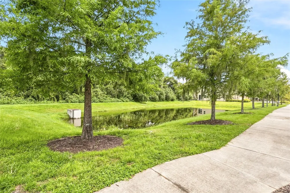 13105 CANOPY CREEK DRIVE Tampa, FL 33625