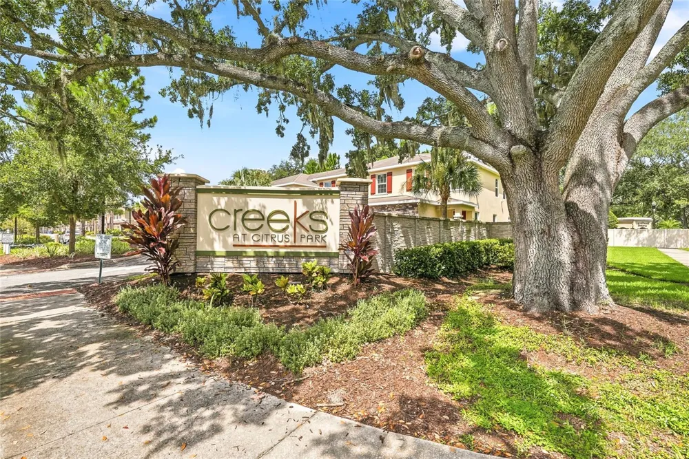 13105 CANOPY CREEK DRIVE Tampa, FL 33625