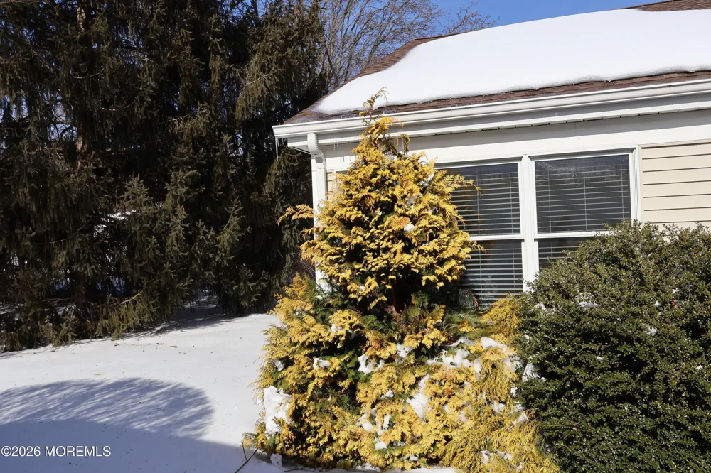 2409 Coral Leaf Road Toms River, NJ 08755