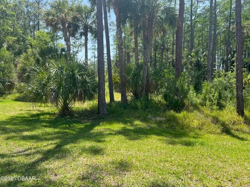 3 REMINGTON ROAD Ormond Beach, FL 32174