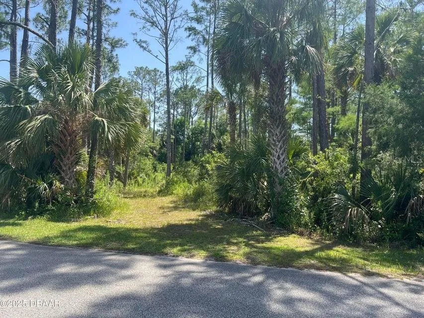 3 REMINGTON ROAD Ormond Beach, FL 32174