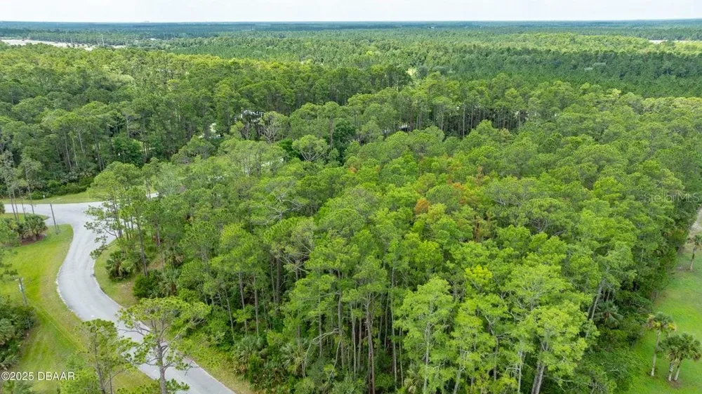 3 REMINGTON ROAD Ormond Beach, FL 32174