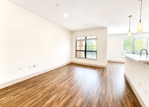 2222 Smith Street #435