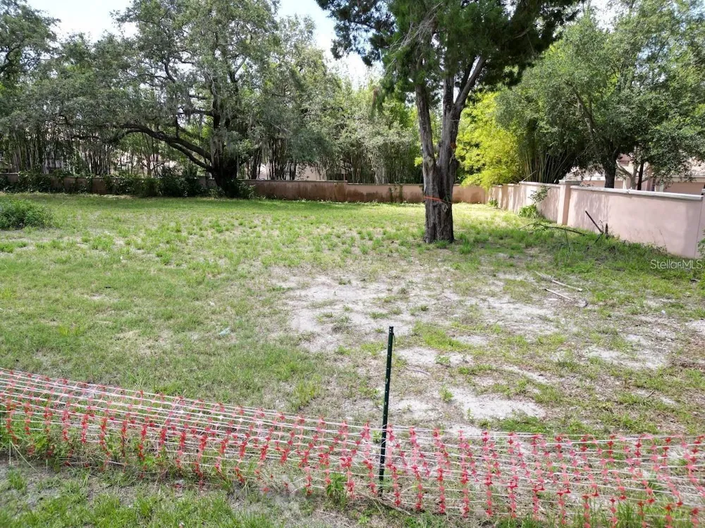 1320 S GOODMAN ROAD Davenport, FL 33896