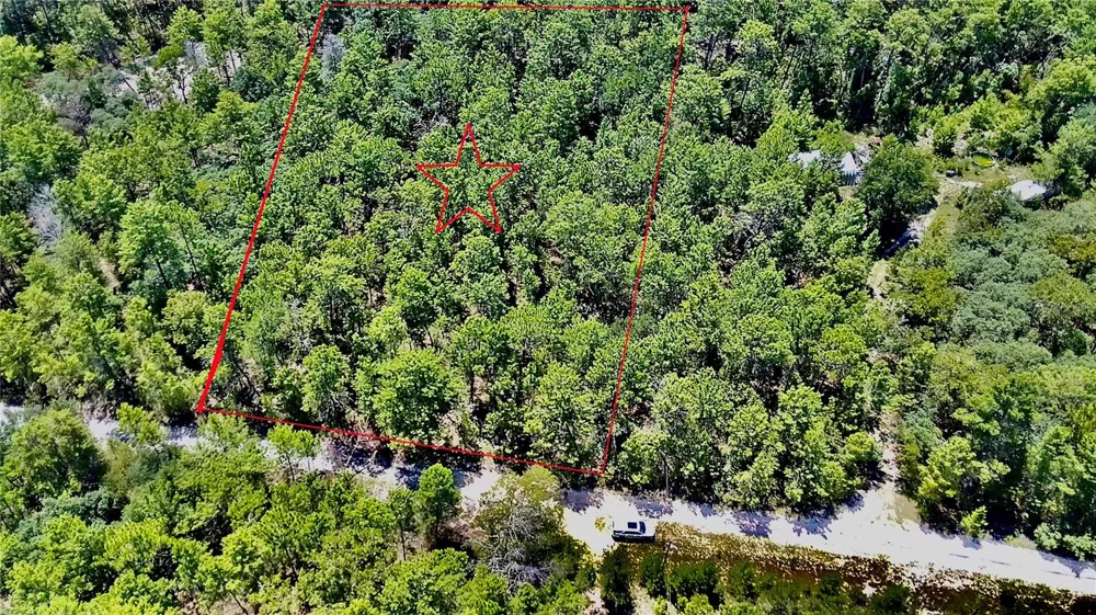 121 PEAR STREET Welaka, FL 32193