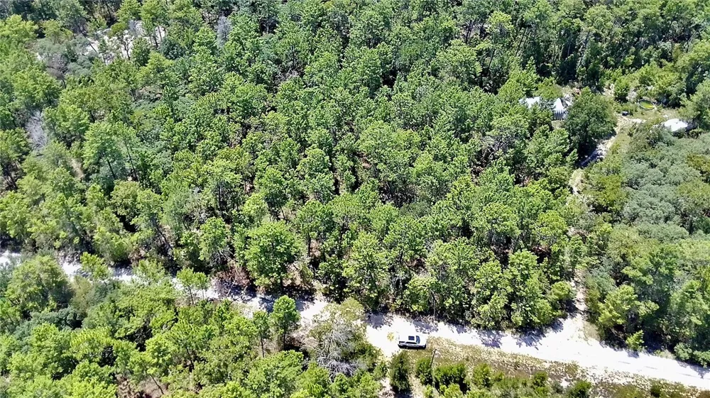 121 PEAR STREET Welaka, FL 32193