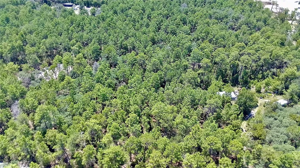 121 PEAR STREET Welaka, FL 32193