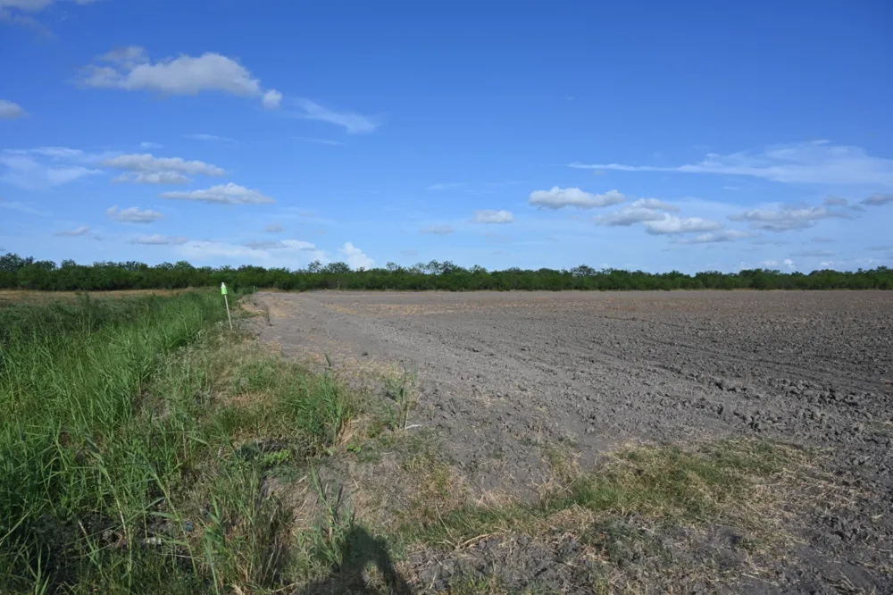 Bixby La Feria, TX 78559