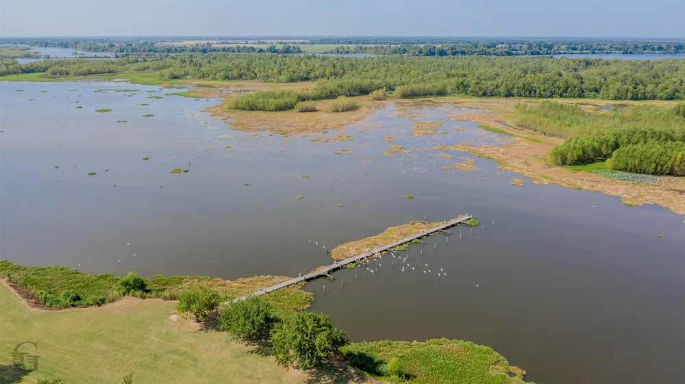 498 Jt White Road Elm Grove, LA 71051