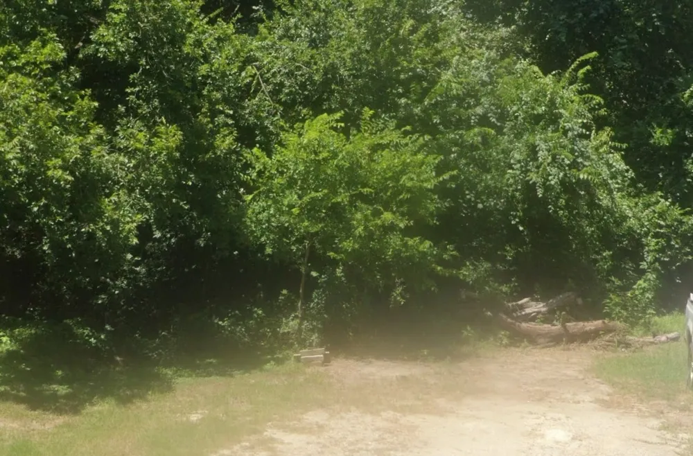 190 Ash Street Bastrop, TX 78602