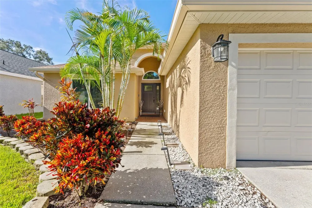 18843 MAISONS DRIVE Lutz, FL 33558