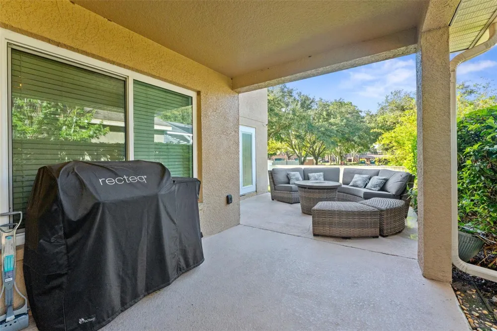 18843 MAISONS DRIVE Lutz, FL 33558