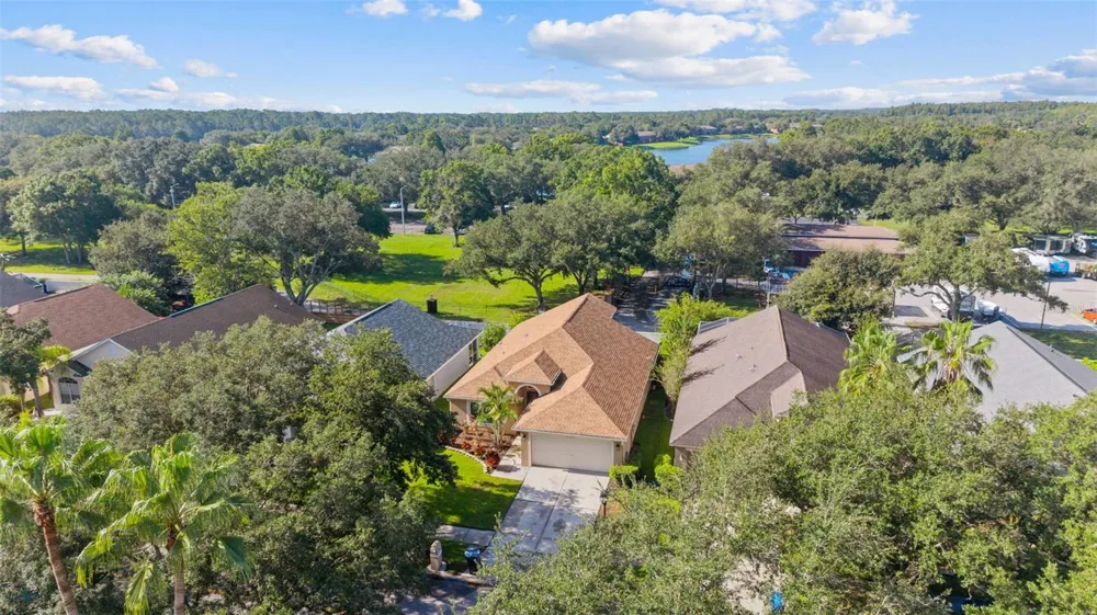 18843 MAISONS DRIVE Lutz, FL 33558