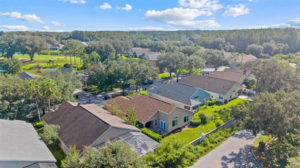 18843 MAISONS DRIVE Lutz, FL 33558