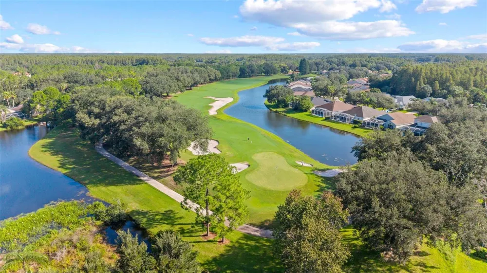 18843 MAISONS DRIVE Lutz, FL 33558