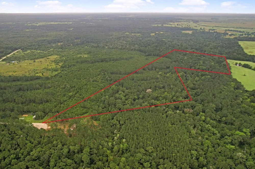 12 Fm 230 Lovelady, TX 77854