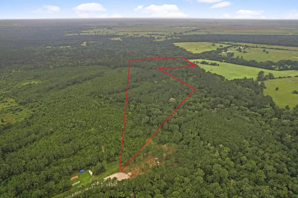 12 Fm 230 Lovelady, TX 77854