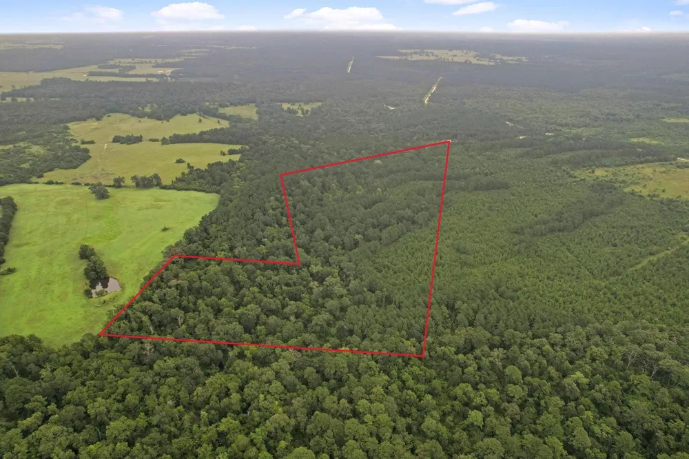 12 Fm 230 Lovelady, TX 77854