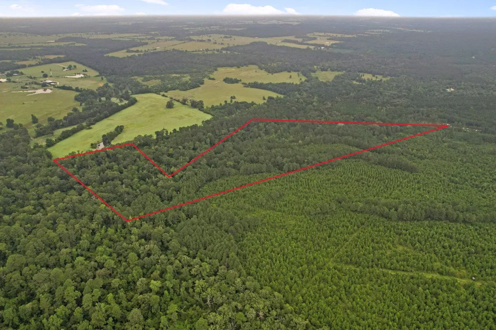 12 Fm 230 Lovelady, TX 77854
