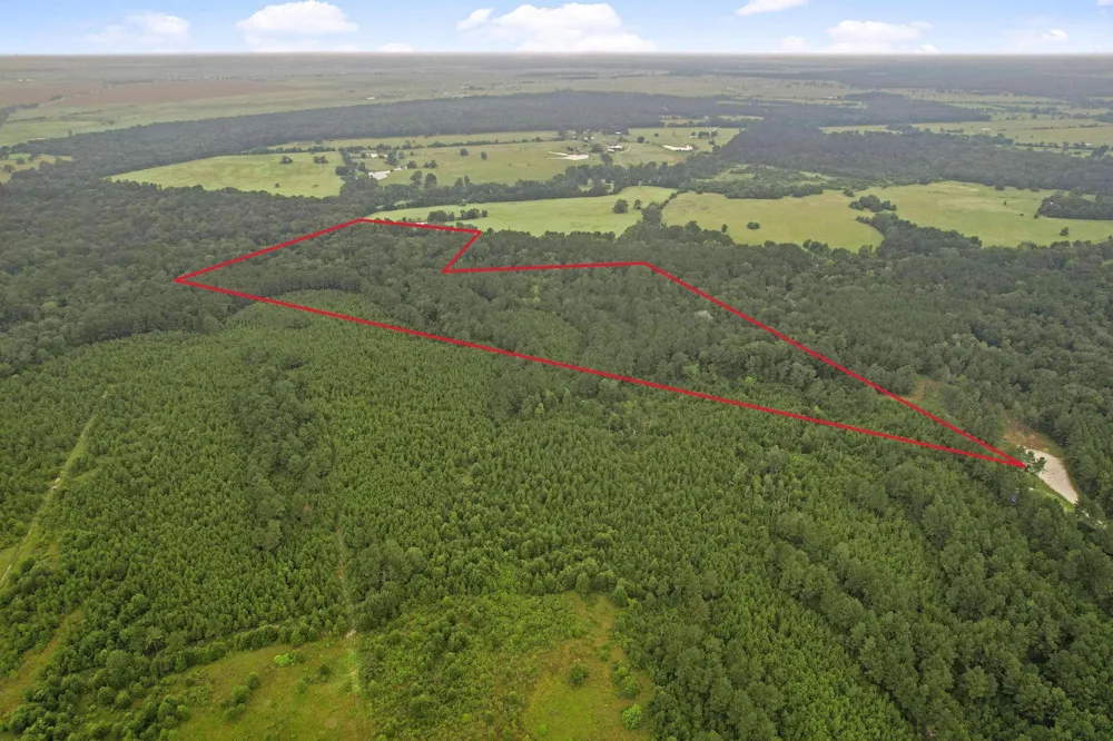 12 Fm 230 Lovelady, TX 77854