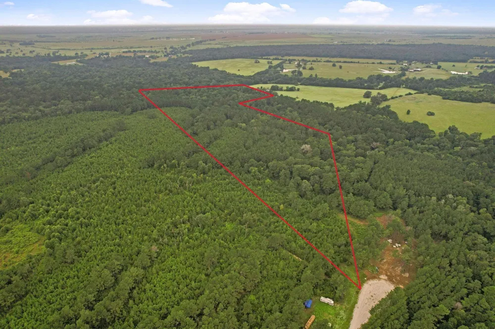 12 Fm 230 Lovelady, TX 77854