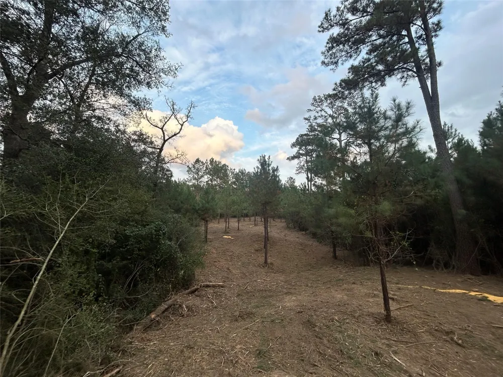 12 Fm 230 Lovelady, TX 77854