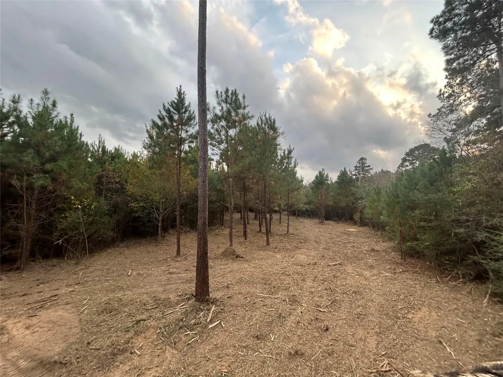 12 Fm 230 Lovelady, TX 77854