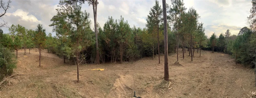 12 Fm 230 Lovelady, TX 77854