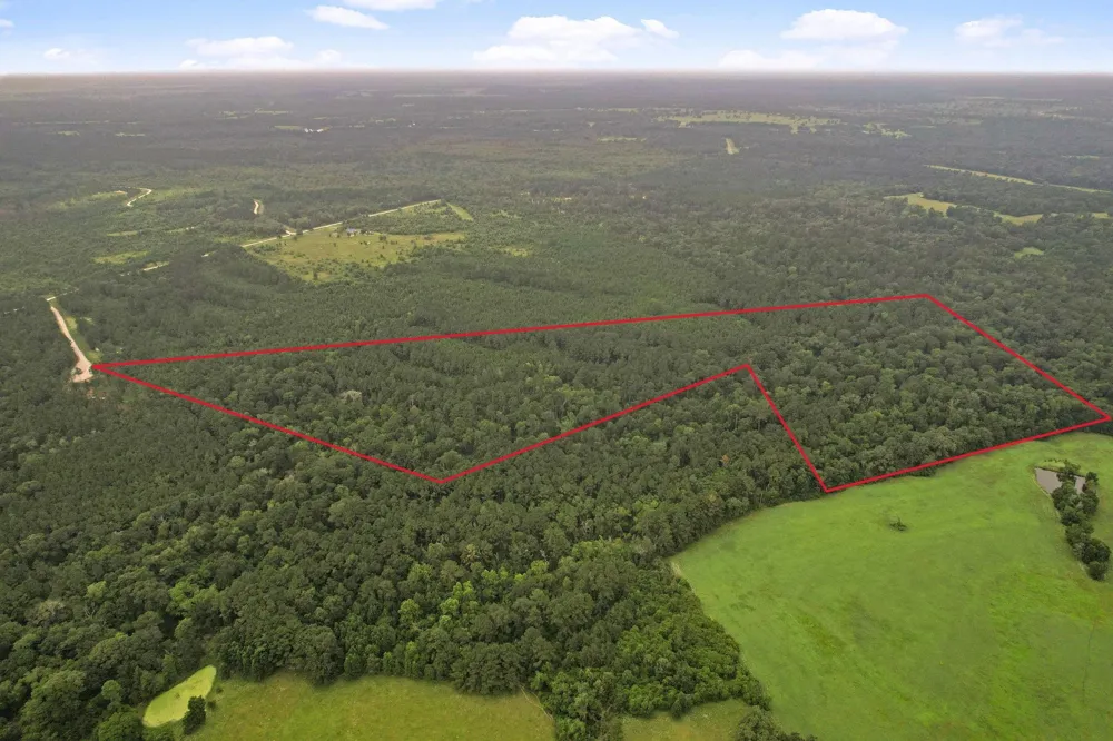 12 Fm 230 Lovelady, TX 77854