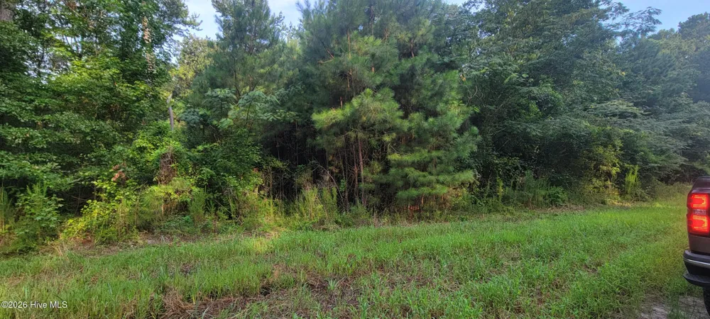 Lot 1 Sr 1178 Highway Chocowinity, NC 27817