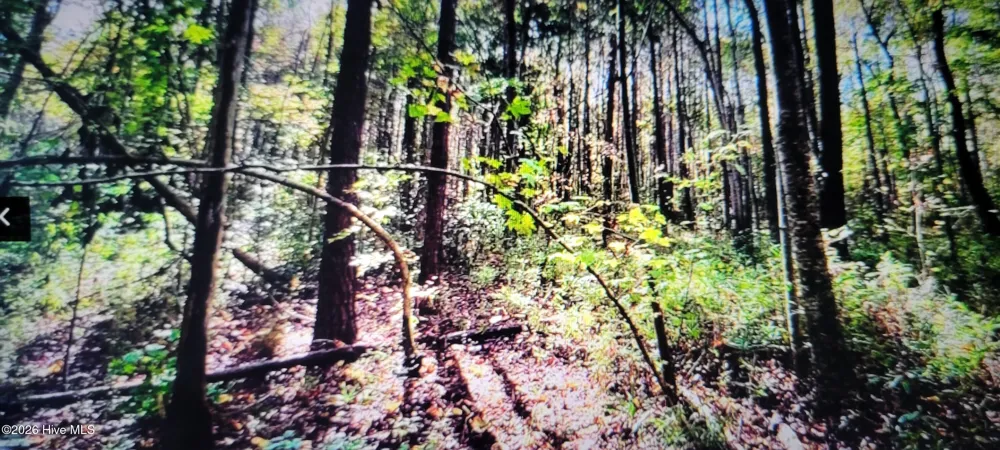Lot 1 Sr 1178 Highway Chocowinity, NC 27817