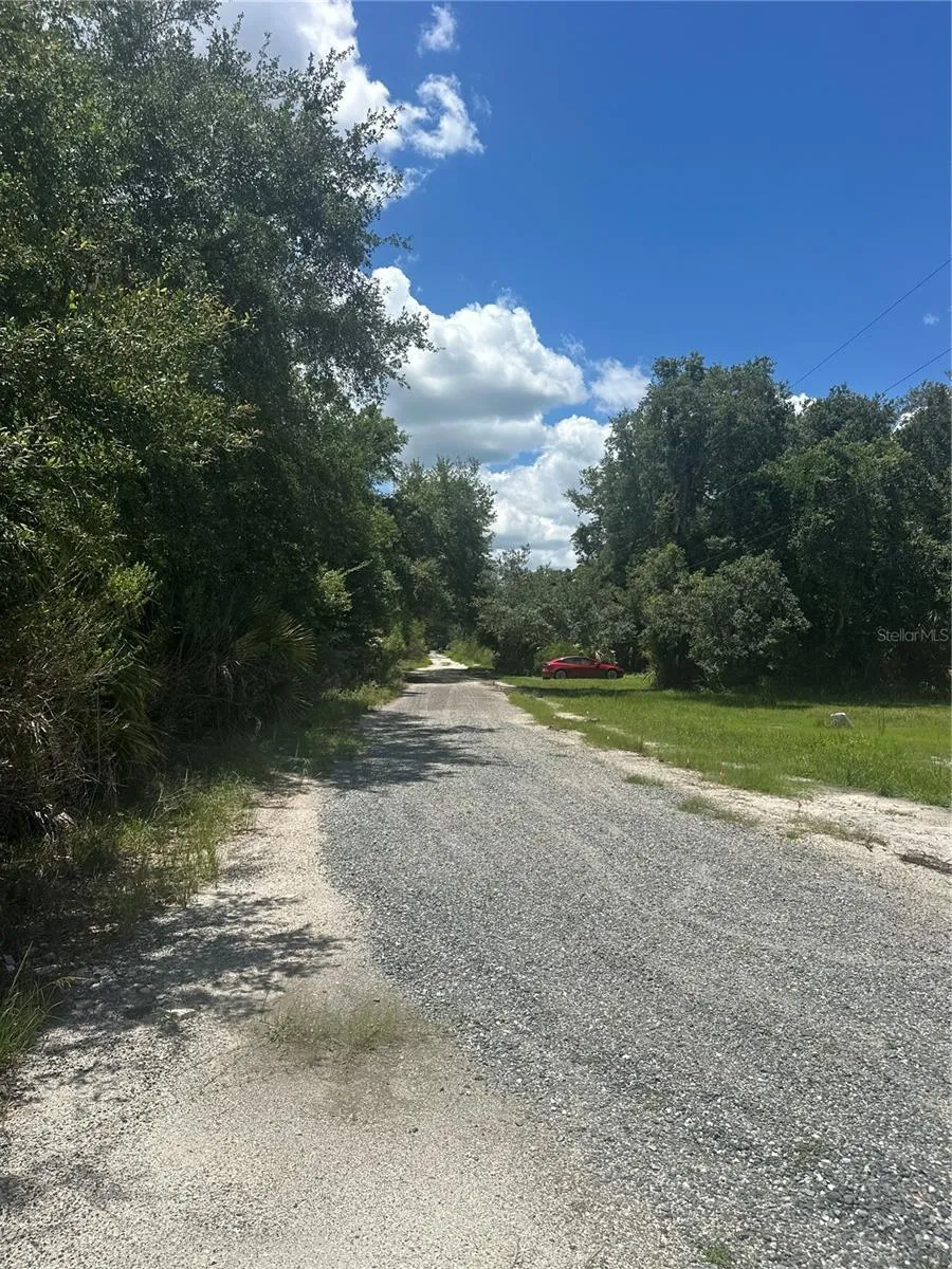 10828 E FREDDY STREET Inverness, FL 34450