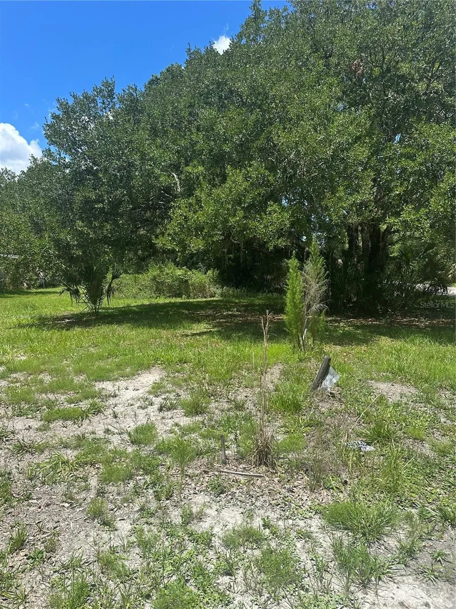 10828 E FREDDY STREET Inverness, FL 34450