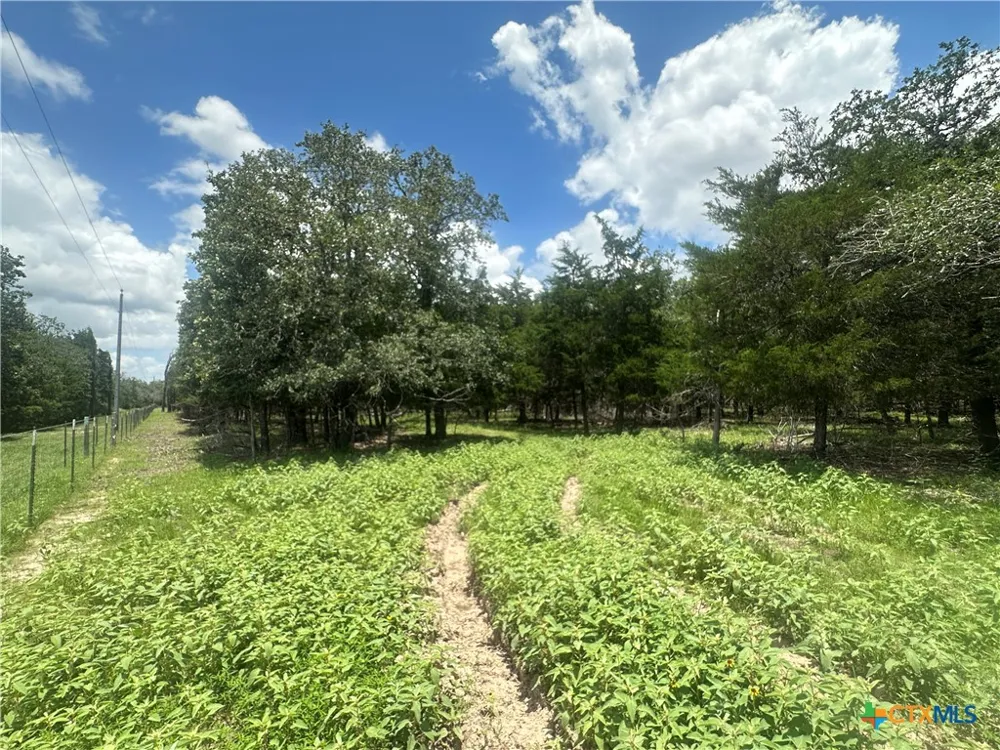 3351 W I 10 Frontage Road Flatonia, TX 78941