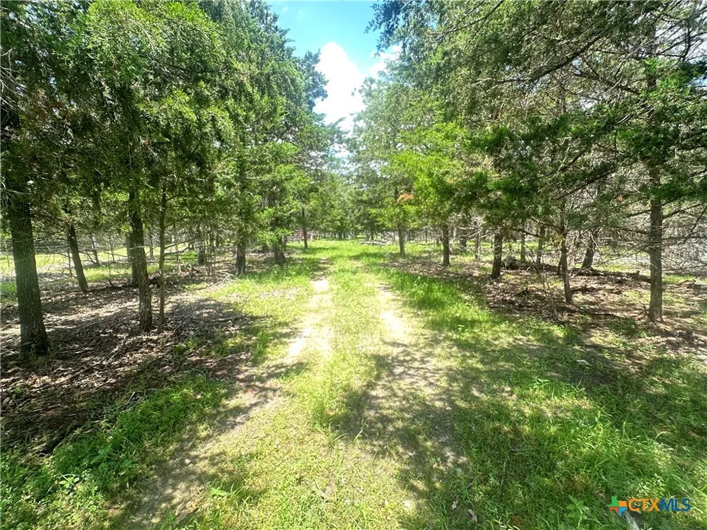 3351 W I 10 Frontage Road Flatonia, TX 78941