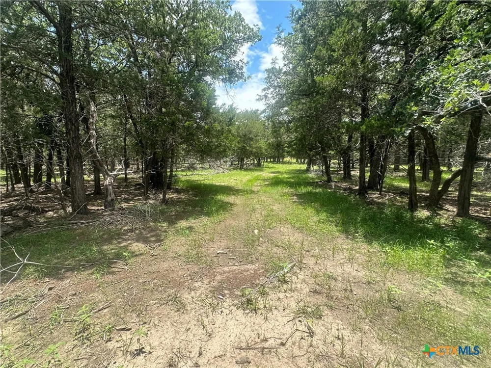 3351 W I 10 Frontage Road Flatonia, TX 78941