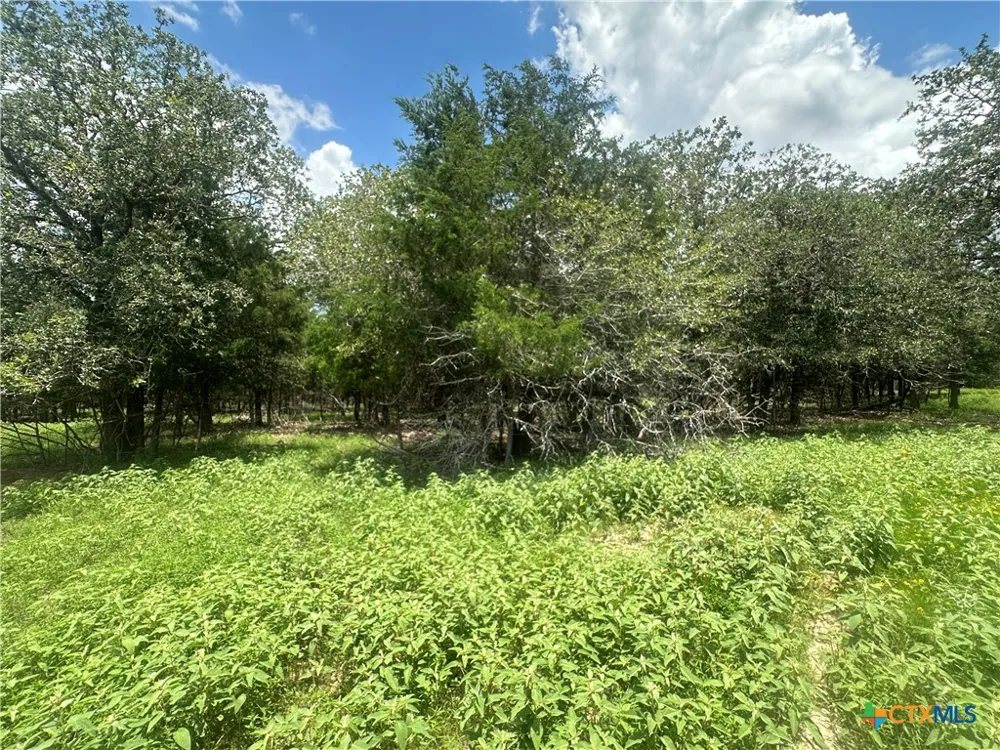 3351 W I 10 Frontage Road Flatonia, TX 78941