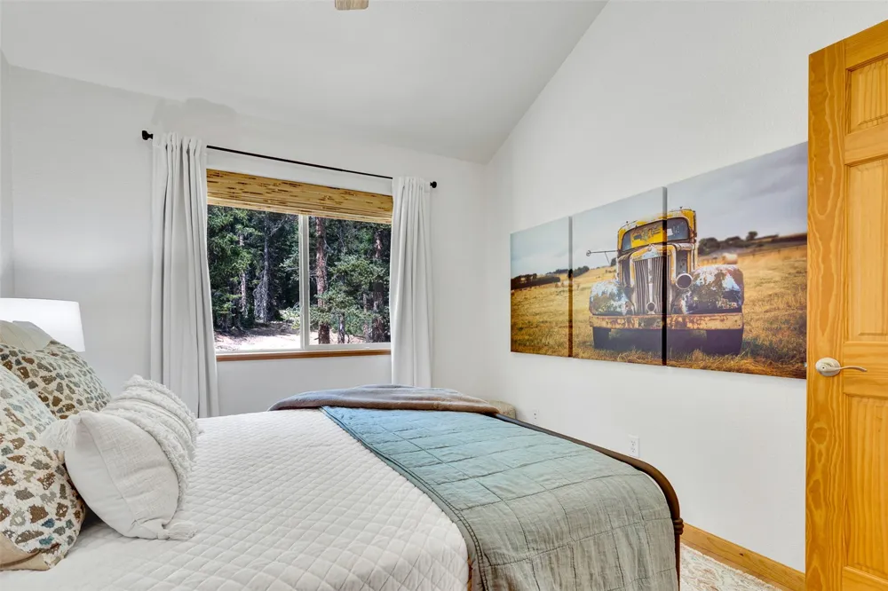 85 Bum Drive Fairplay, CO 80440