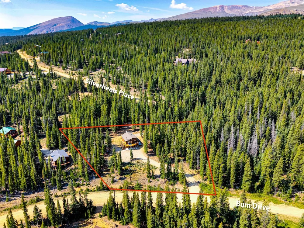 85 Bum Drive Fairplay, CO 80440