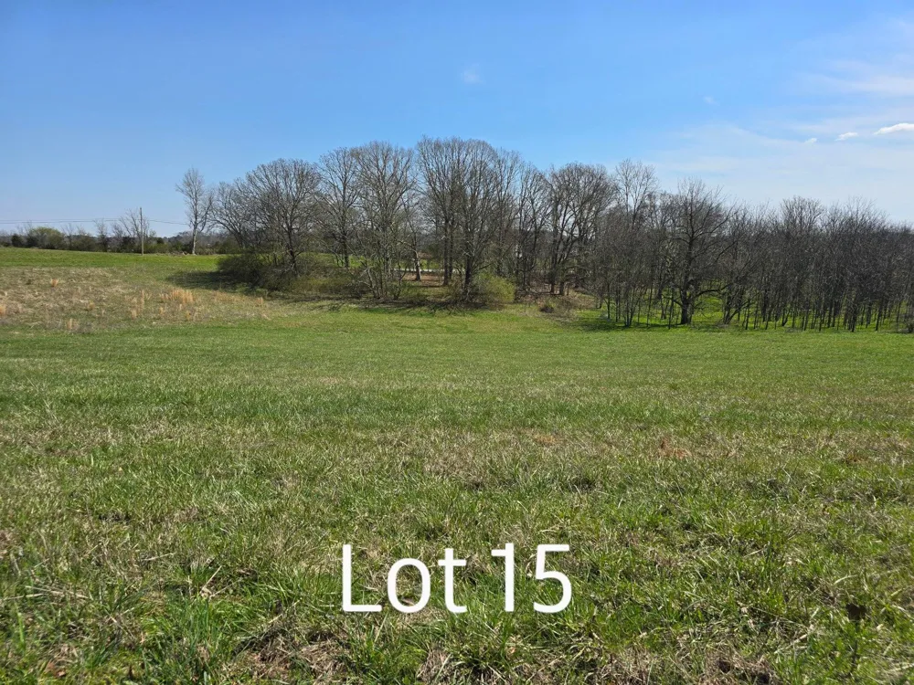 15 Watauga Lane Birchwood, TN 37308