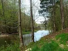 15 Watauga Lane Birchwood, TN 37308