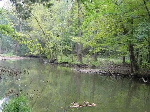 15 Watauga Lane Birchwood, TN 37308