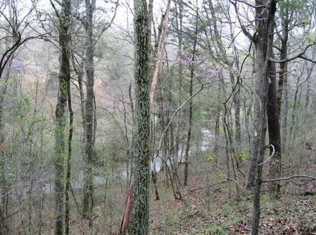 15 Watauga Lane Birchwood, TN 37308