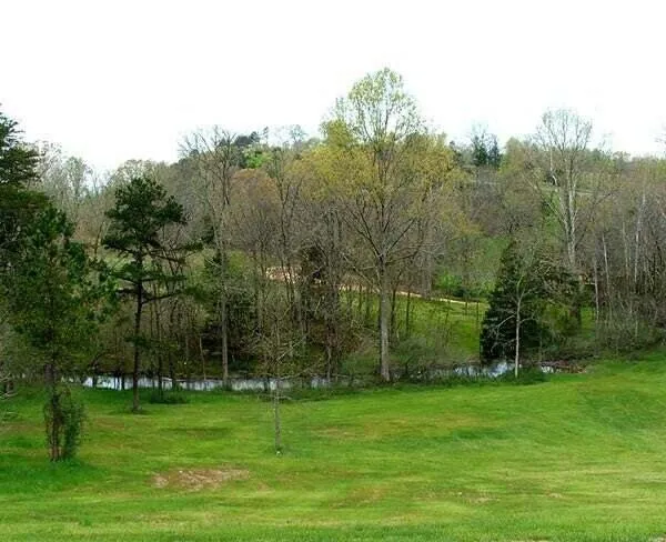 15 Watauga Lane Birchwood, TN 37308