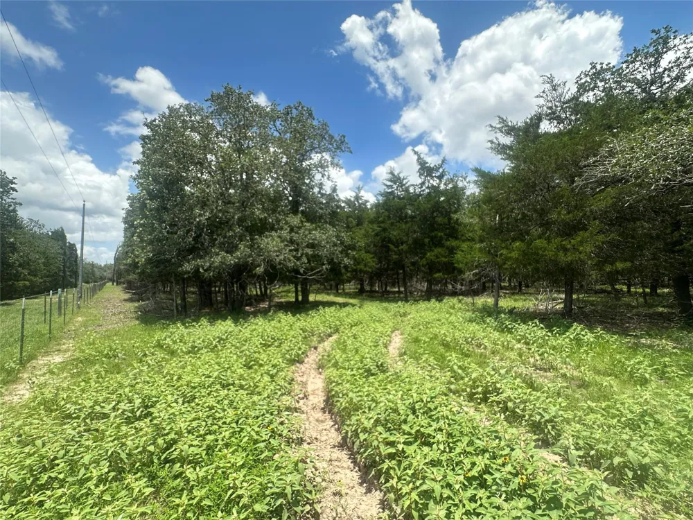 3351 W I-10 Frontage Road Flatonia, TX 78941