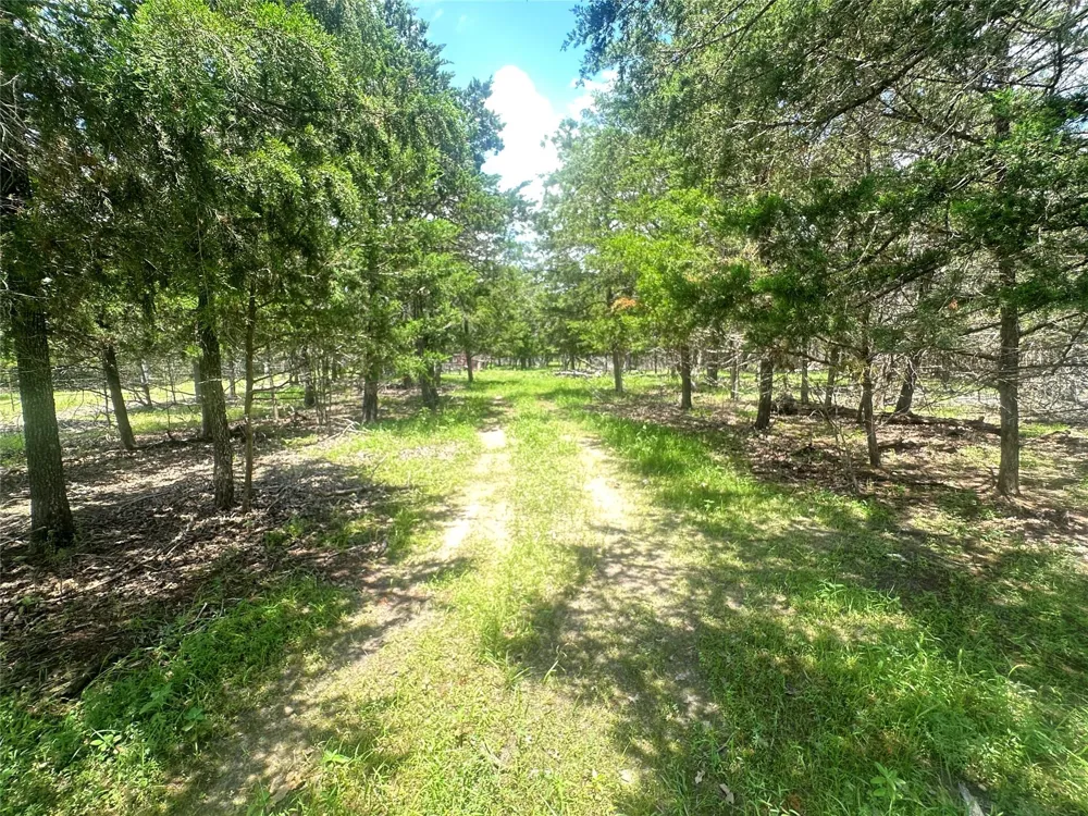3351 W I-10 Frontage Road Flatonia, TX 78941
