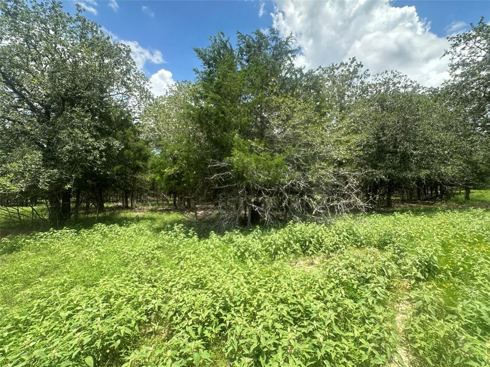 3351 W I-10 Frontage Road Flatonia, TX 78941