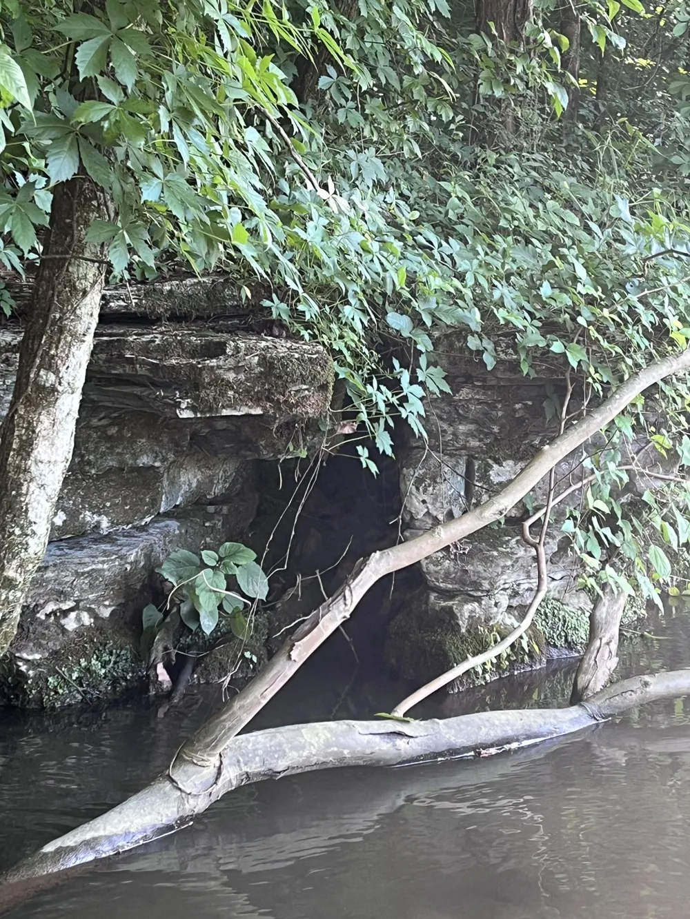 0 Norton Branch Rd Beechgrove, TN 37018