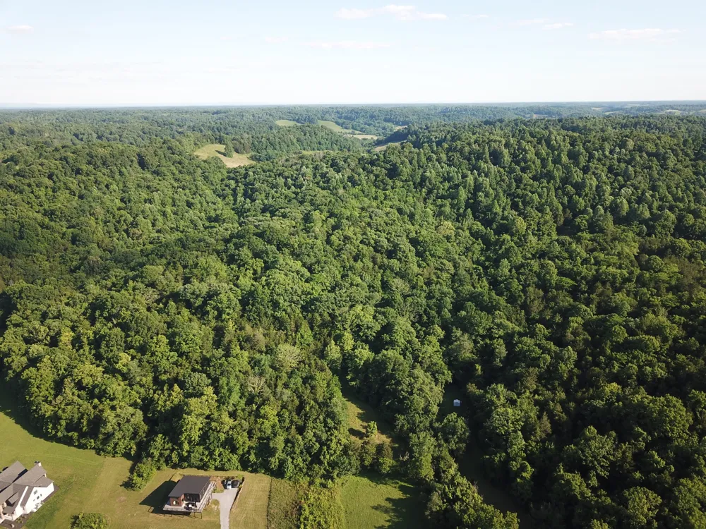 0 Norton Branch Rd Beechgrove, TN 37018
