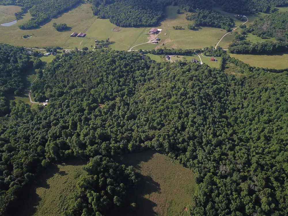 0 Norton Branch Rd Beechgrove, TN 37018